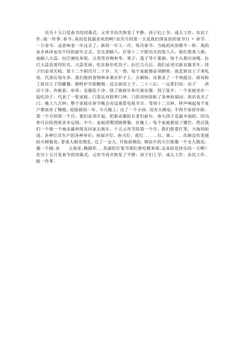 春节——我心中的最爱