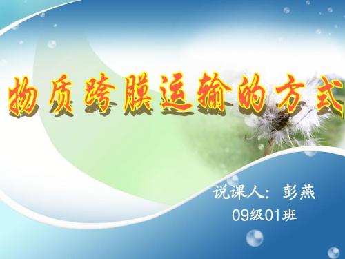物质的跨膜运输说课课件