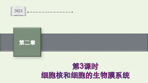 新教材高中生物第二章第二节第3课时细胞核和细胞的生物膜系统课件苏教版必修1ppt