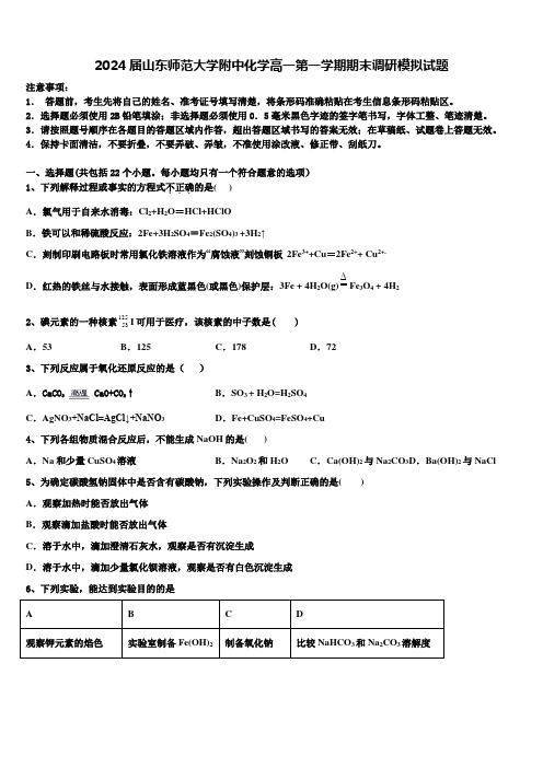 2024届山东师范大学附中化学高一第一学期期末调研模拟试题含解析