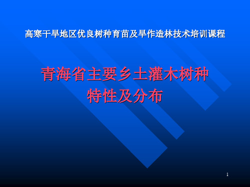 青海省主要乡土灌木树种特性及分布