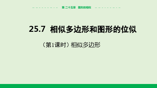 2024-2025学年初中数学九年级上册(冀教版)教学课件25.7相似多边形和图形的位似(第1课时)