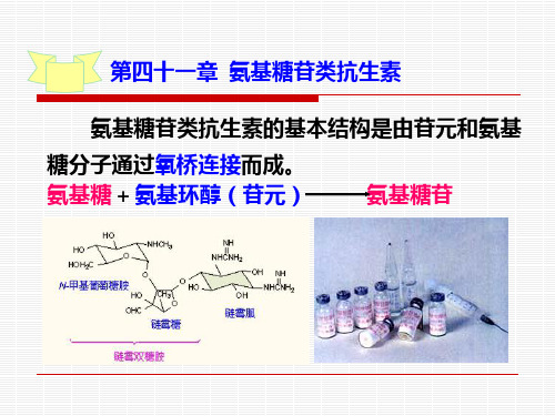 氨基糖苷类抗生素ppt课件