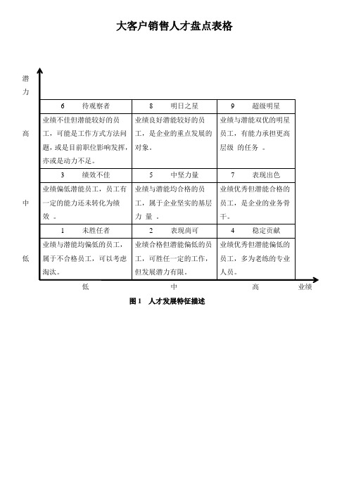 大客户销售人才盘点表格