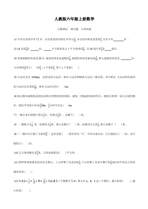 人教版六年级上册数学  期末复习特训   分数乘法填空题   专项练习