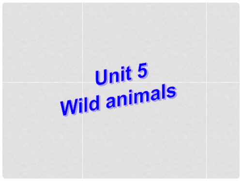 江苏省永丰初级中学八年级英语上册 Unit 4 Wild anima
