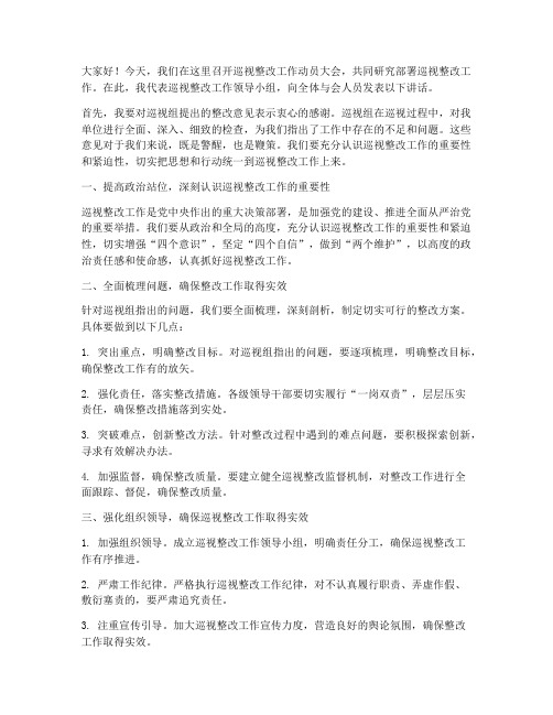 巡视整改领导发言稿