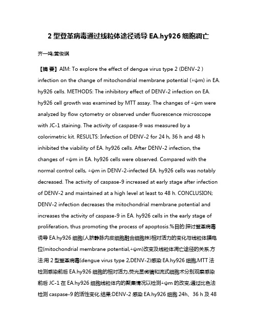 2型登革病毒通过线粒体途径诱导EA.hy926细胞凋亡