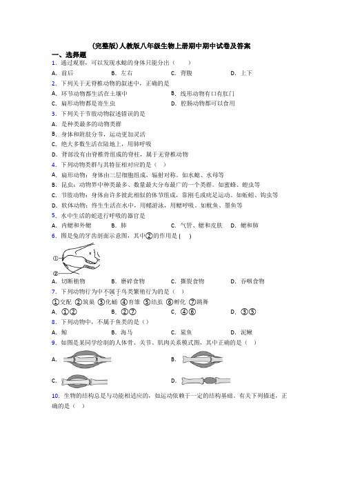 (完整版)人教版八年级生物上册期中期中试卷及答案