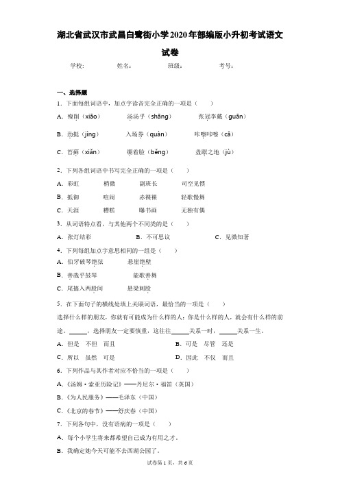 湖北省武汉市武昌白鹭街小学2020年部编版小升初考试语文试卷(含答案解析)