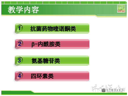 药物分析学课件 各论第五章抗菌药物与抗生素类的分析5-15