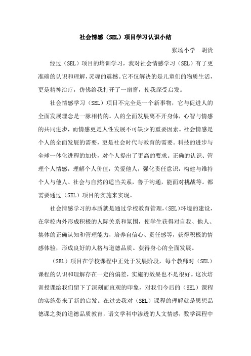 社会情感(SEL)项目学习认识小结