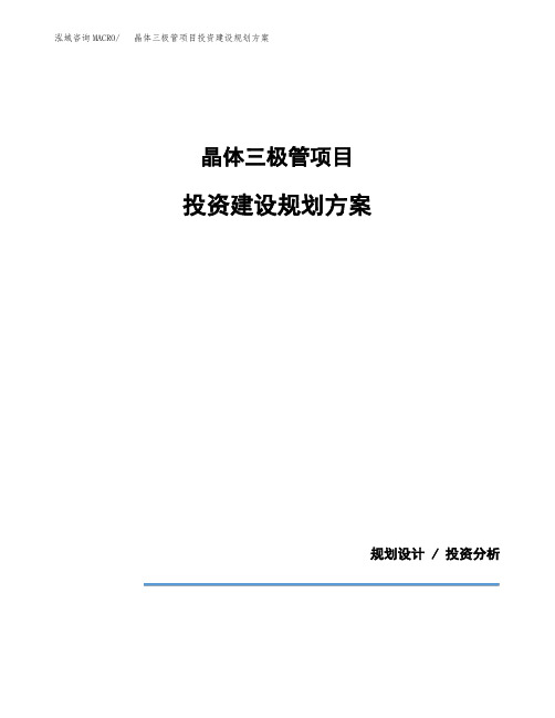 晶体三极管项目投资建设规划方案(模板)