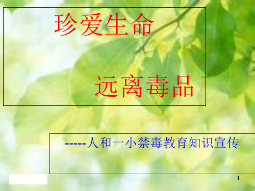 禁毒教育(课堂PPT)