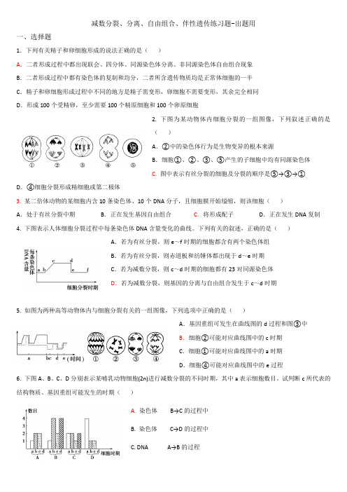 减数分裂、分离、自由组合、伴性遗传练习题-出题用