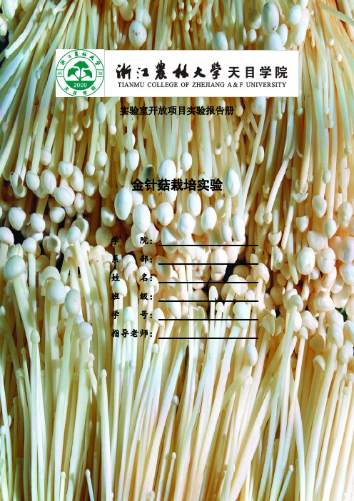 开放性实验实验报告————金针菇栽培