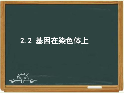 人教版高中生物必修二《基因在染色体上》课件