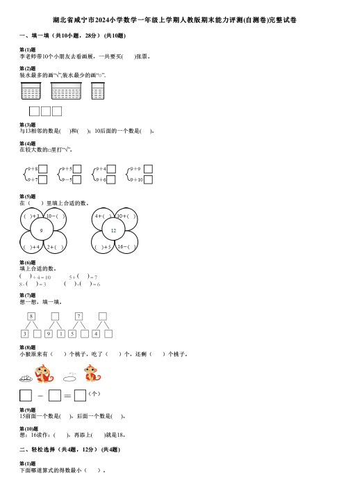 湖北省咸宁市2024小学数学一年级上学期人教版期末能力评测(自测卷)完整试卷