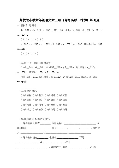 苏教版小学六年级语文六上册《青海高原一株柳》练习题