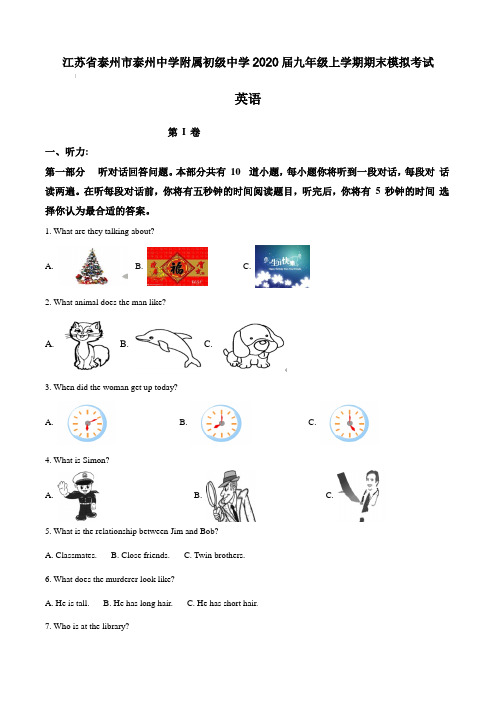 江苏省泰州市泰州中学附属初级中学2020届九年级上学期期末模拟考试 英语(含答案)