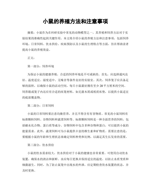 小鼠的养殖方法和注意事项