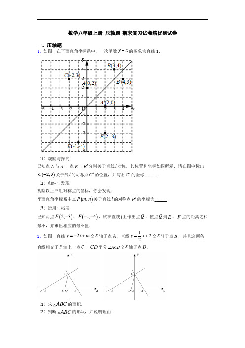 数学八年级上册 压轴题 期末复习试卷培优测试卷