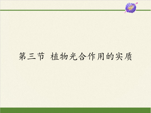 苏教版七年级生物上册 第六章 第三节  植物光合作用的实质课件