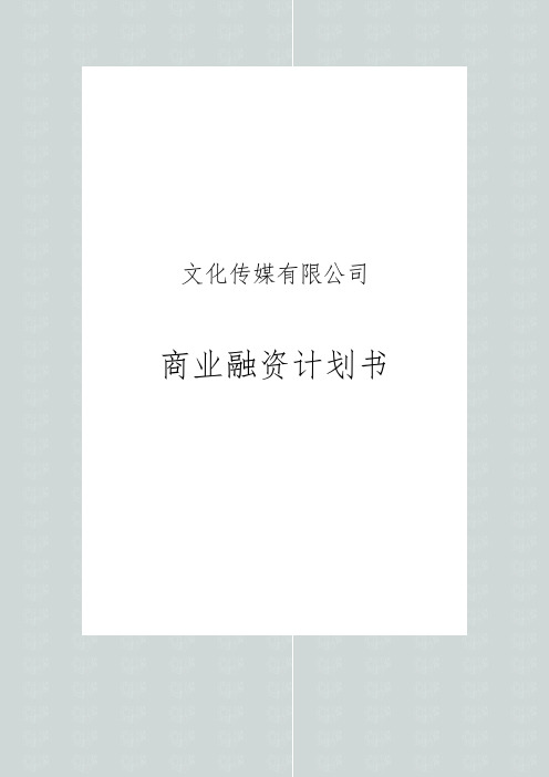 文化传媒有限公司商业融资计划书