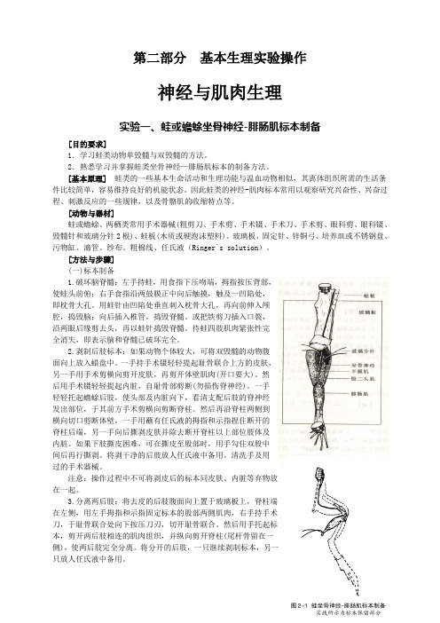 人体解剖生理学实验教案