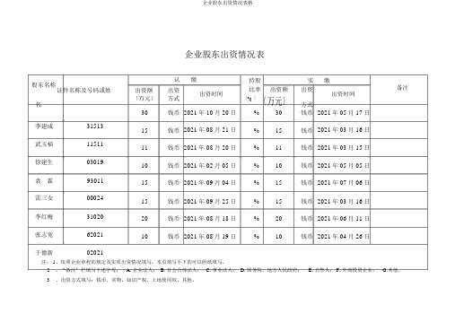 公司股东出资情况表格