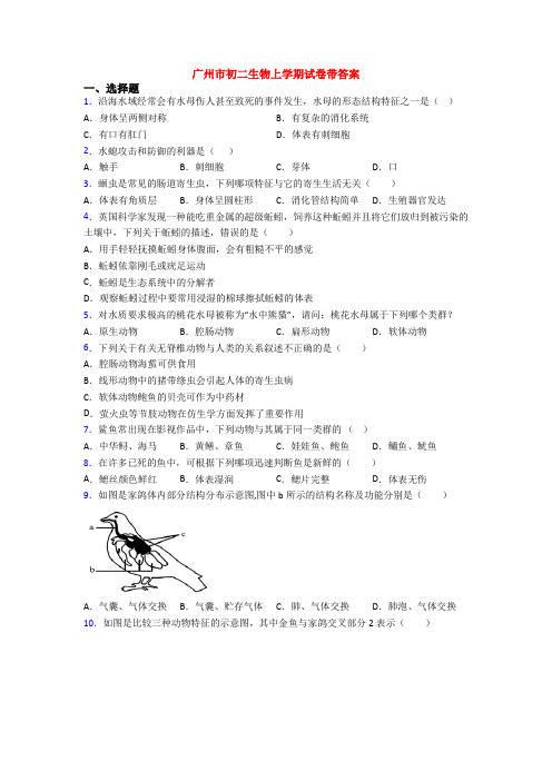 广州市初二生物上学期试卷带答案