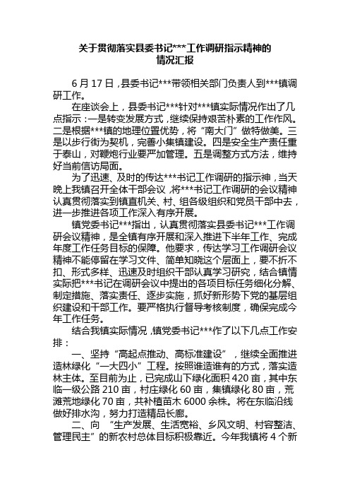 贯彻落实县委书记...工作调研指示精神的情况汇报