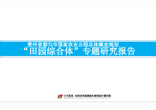 田园综合体专题研究报告最新PPT课件