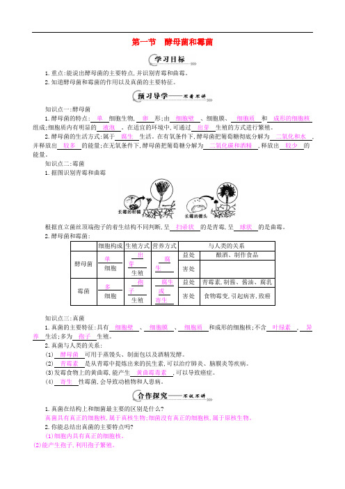 八年级生物上册 第五单元 第二章 第一节《酵母菌和霉菌》导学案 (新版)冀教版