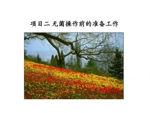 植物组织培养项目二 无菌操作前的准备工作