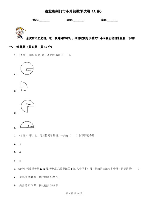 湖北省荆门市小升初数学试卷(A卷)