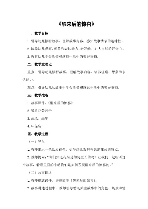 大班语言公开课教案《醒来后的惊喜》