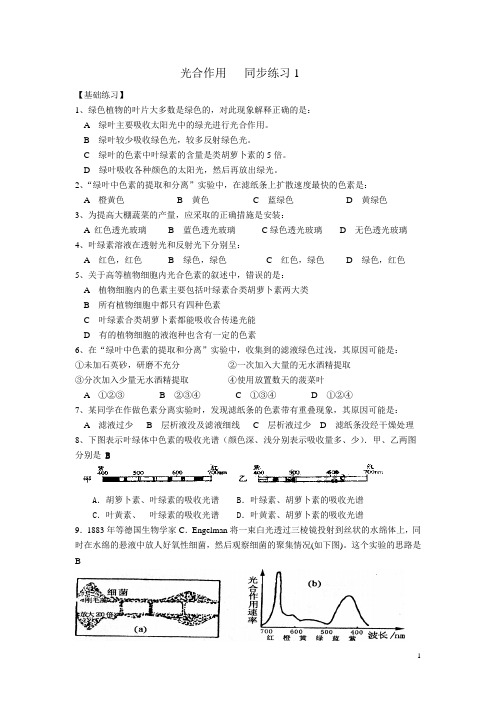 高中生物必修光合作用同步练习