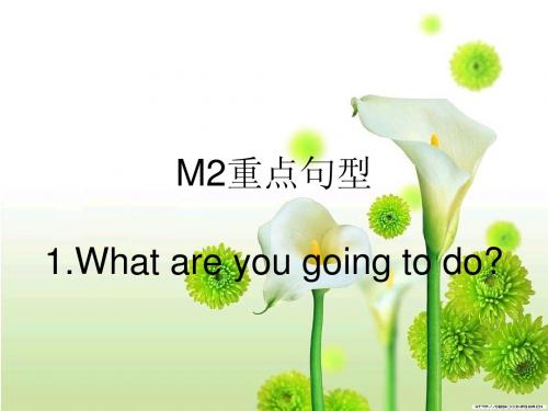 M2重点句型