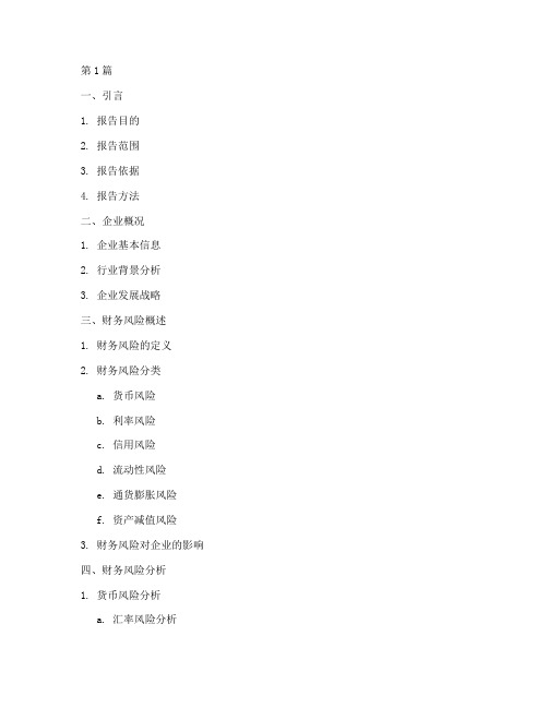 财务风险分析报告大纲(3篇)