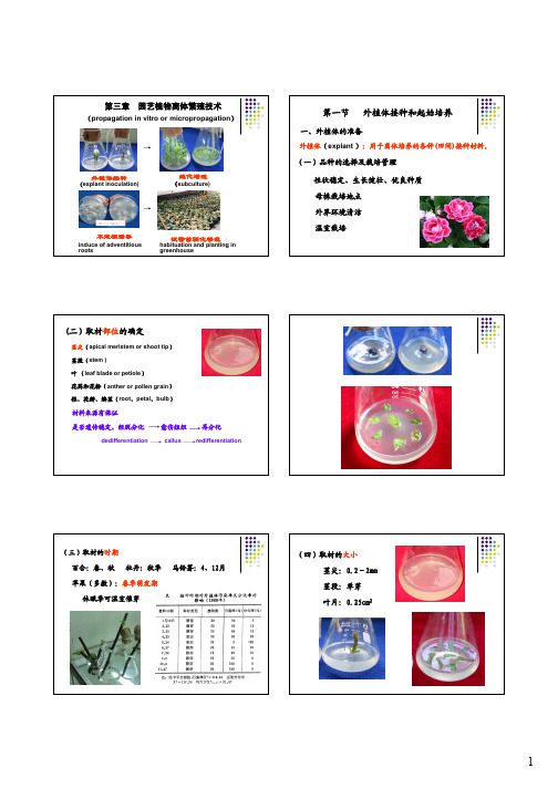 第三章 外植体 继代