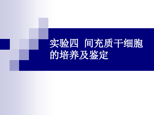 试验四间充质干细胞的培养及鉴定一