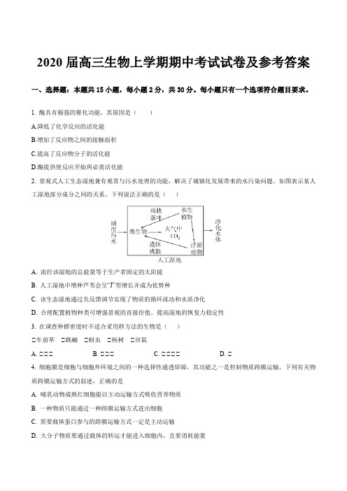 2020届高三生物上学期期中考试试卷及参考答案