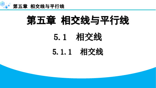 2024年七下第五章5.1.1相交线课堂练习题及答案