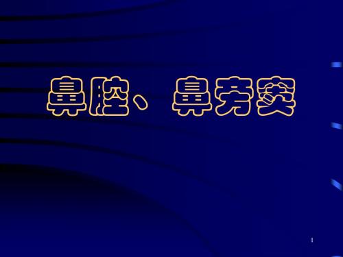 (推荐课件)鼻、鼻窦影像学表现