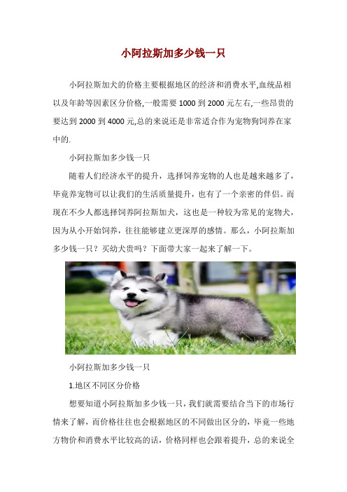 小阿拉斯加多少钱一只