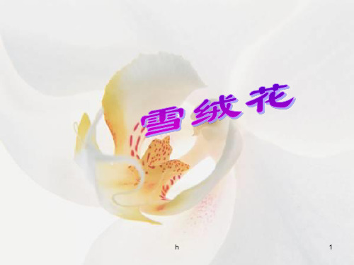 雪绒花—音乐课件