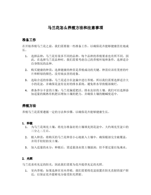 马兰花怎么养殖方法和注意事项