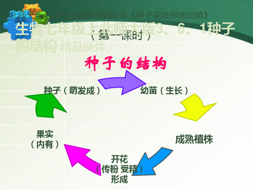 生物初一上北师大版3、6、1种子的结构精品资料.ppt