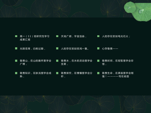 研究性学习成果汇报